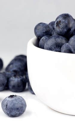 The Sugar Detox